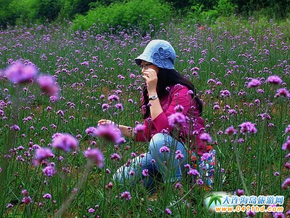 大連薰衣草莊園