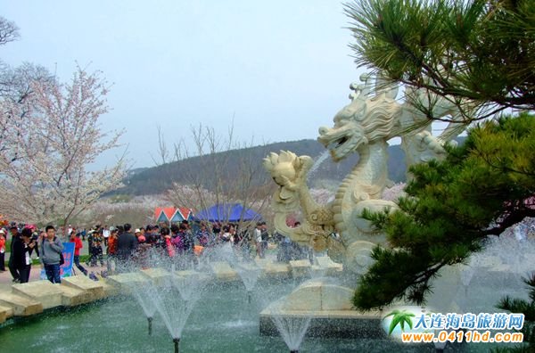 旅順龍王塘櫻花
