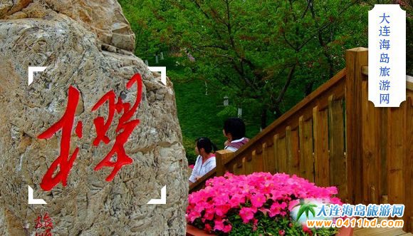 2021旅順櫻花園
