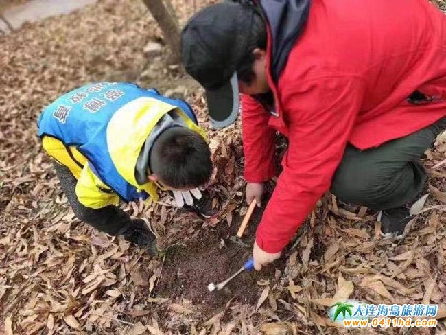 清明節大連旅游
