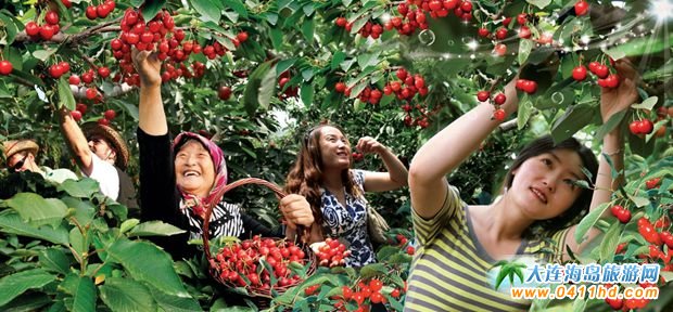 端午節大連旅游